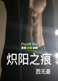 炽阳之痕主要是讲什么的